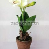 Hot sale artificial flower,artificial plants