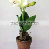 Hot Sale Artificial Flower,artificial Plants thumbnail-1
