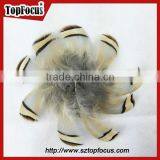Wholesale Down Pheasant Partridge Plumage Natural Pheasant Feathers Prices thumbnail-4