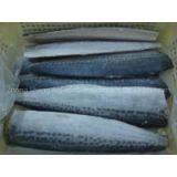 Supply Spanish Mackerel Fillets thumbnail-1