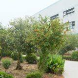 HUISHIH Alloy Co., Ltd. company overview - view 2 thumbnail