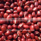 small red bean ( organic )
