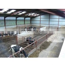 Customized Prefab Steel Structure Dairy Cow Shed Farm