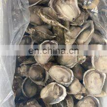 IQF Frozen Oyster With Half Shell Oyster Half Shell thumbnail-5