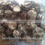 High Quality Dried Shiitake Flower Mushroom thumbnail-3