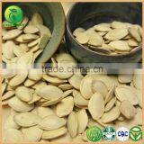 International Price for Shine Skin Pumpkin Seeds, Lady Nail Pumpkin Seeds thumbnail-2