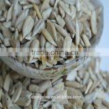 White Sunflower Kernels Name of Oil Seeds thumbnail-3