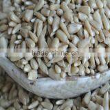 Bakery Sunflower Kernel Price thumbnail-2