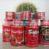 Top Quality Tomato Paste, Ketchup 800gram thumbnail-4