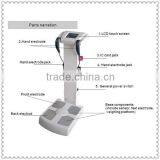 Professional Body Composition Analyzer Machine thumbnail-3