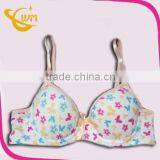 Wholesale Panama Hot Sell Teen Bra for Girls thumbnail-1