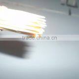 High Grade Bamboo Tooth Picks thumbnail-1