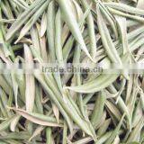 Dried Olive Leaves thumbnail-1