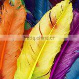 Digital Printed Glass