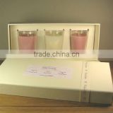 2013 Decorative plant scents soy candle in set box, art candle
