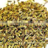 Aniseed Oil Natural thumbnail-1