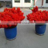 Artificial Plant High End Tropical Presentation