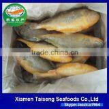 Frozen Seafood Frozen Yellow Croaker, Yellow Croaker Fish Price thumbnail-2