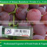 Fresh Red Global Grape thumbnail-1