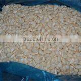 IQF Peeled Garlic for Sale / Frozen Garlic for Export thumbnail-5