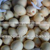 Fresh ya Pear 2012 thumbnail-1