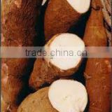 Cassava Starch