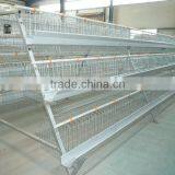 Kenya Poultry Farm Automatic Chicken Equipment Feed Line
