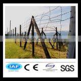 Competitive 12 Gauge Barbed Wire thumbnail-1