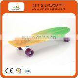 Chinese High Quality Plastic Skateboard thumbnail-1