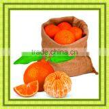 Jute Gunny Bag Jute Bag Best Price thumbnail-5