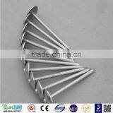 Best Quanlity 2.5 Inch and 3 Inch Roofing Nails thumbnail-2