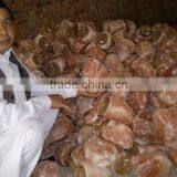 Himalayan Natural Salt Lamps thumbnail-1