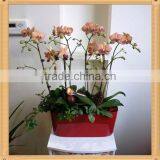 PQ5 Blue Glazed Interior Decorative Flower Pots