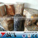 Petrified Wood,high Value Luxary Natural Stone for Collection thumbnail-1