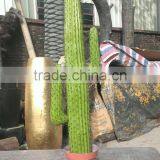 SJ3001014 Landscaping Ornament Cactus Plant/catos Green Plant thumbnail-1