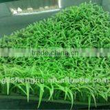 Cheap Artificial Grass Carpet for Landscape Football Use thumbnail-4