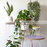Cheap Price Metal Iron Home Garden Indoor Outdoor Decoration Wire Plant Stand thumbnail-5