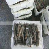 Frozen Tiger Shrimp Recipe thumbnail-1