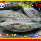 W/R FROZEN SKIPJACK TUNA thumbnail-1