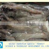 Whole Giant Loligo Peru Squid for Canning thumbnail-1