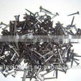 Shoe Tacks Nail thumbnail-5