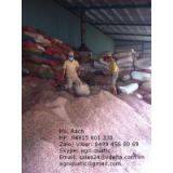 HOT SALE VIETNAM CASHEW SHELL & CASHEW HUSK 84915601238 thumbnail-1