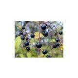 Prunus Padus Extract(sales22 at Lgberry Dot Com Dot Cn)