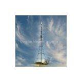 SELF-SUPPORT MAST thumbnail-1