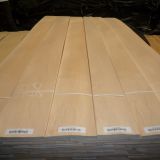 Natural North America maple mountain grain wood veeer