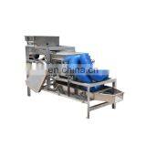 High Quality Peanut Cutting Machine Almond Slicing Machine thumbnail-7