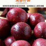 Passion Fruit thumbnail-3