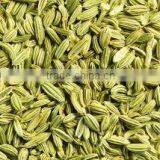 Fennel Seeds thumbnail-4