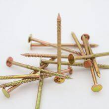 Hot-Dipped Galvanized Ring Shank Nails for Exterior Applications thumbnail-5