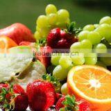 40ft Shipping Container for Sale From Facotry Themoking Reefer Container Price